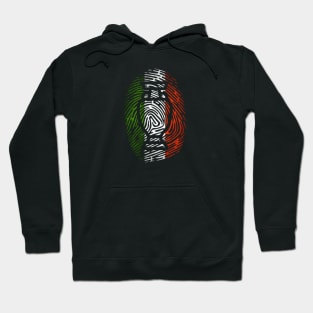 italy euro champion fans Hoodie